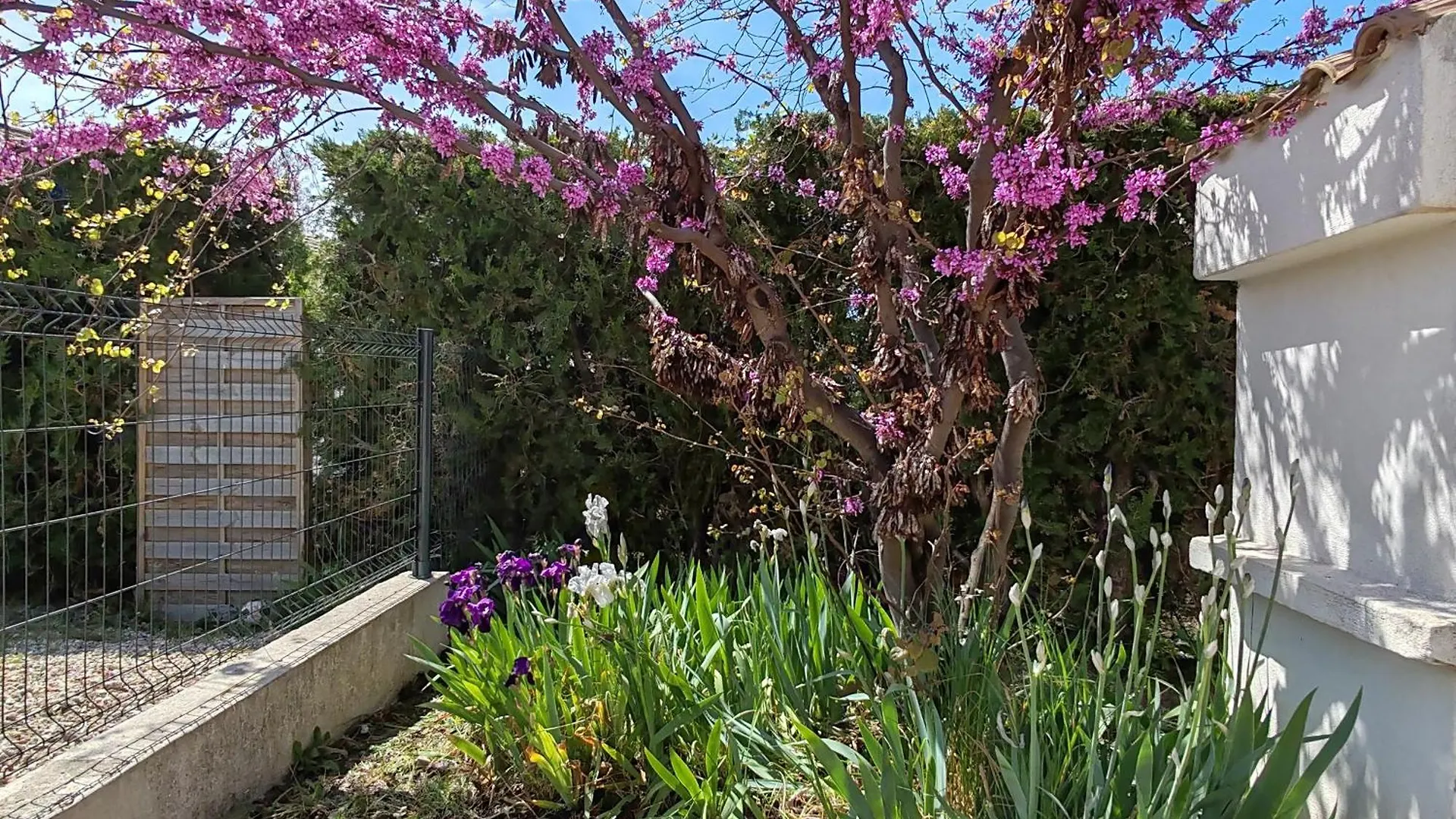 Holiday home La Maison De Celine Beaumes-de-Venise